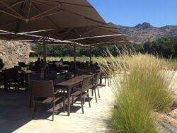 Stag's Leap Wine Cellars