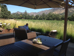 Stag's Leap Wine Cellars