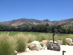 Stag's Leap Wine Cellars