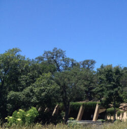 Stag's Leap Wine Cellars