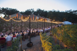 Stag's Leap Wine Cellars