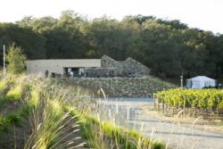 Stag's Leap Wine Cellars